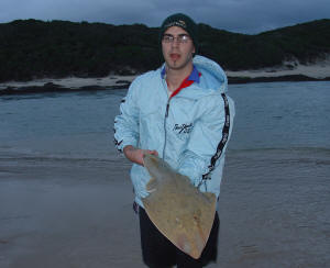 Kariega River Mouth Lesser Sandshark