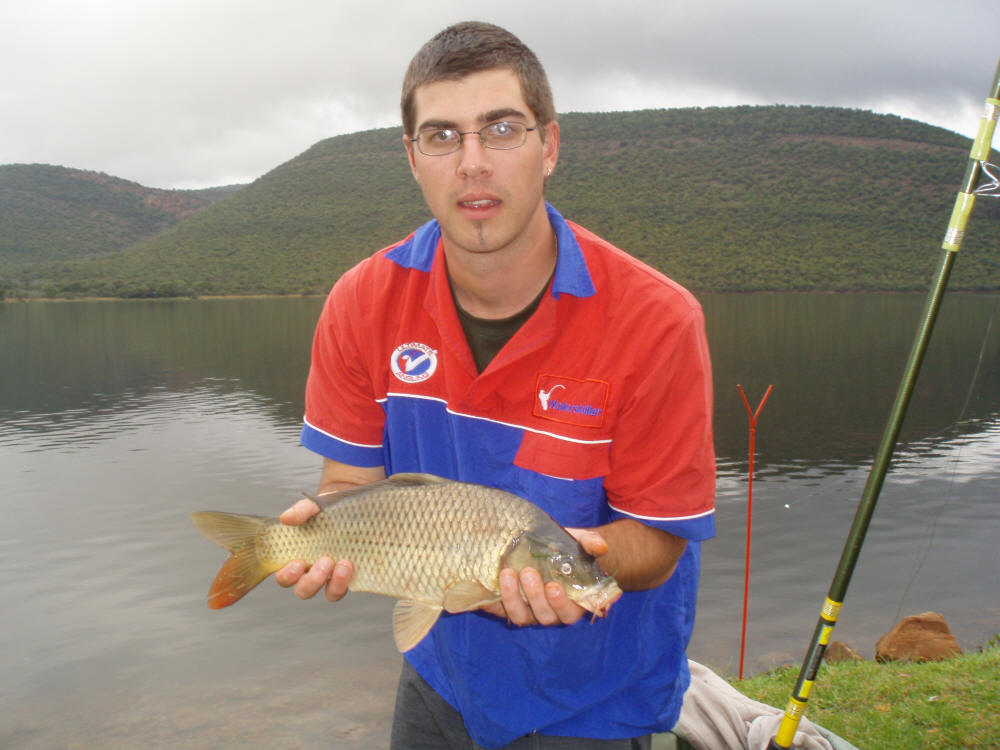 South African Summer Carp Baits, Dips & Feed, Catching Carp In Summer