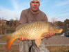 Large Common Carp Caught Conventionally