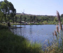 The Quarry Fishery Edenvale