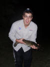 Small fat Barbel caught in Gauteng - 2kgs