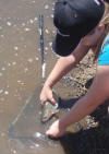 Aimee Harvey releasing a Rainbow Trout