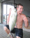 Giant Kingfish (Giant Trevally GT Ignobilis)