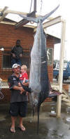 South African Black Marlin 114kgs