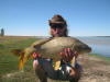 Big Common Carp caught at Tago