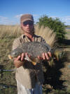 Nice size Vaal Dam Mirror Carp