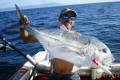 Giant Kingfish Caught On Halco Roosta Popper