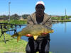 Common Carp caught at Footloose Trout Farm