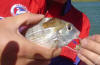 Cape Stumpnose with molluscs on it