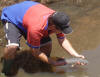 Gareth Roocroft releasing a Rainbow Trout hen