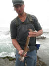 Brown Dogshark caught off the rocks