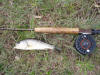 Largemouth Bass caught on Fly