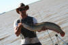 Big Vaal Dam Barbel - Catfish
