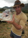 Good size Jozini Tigerfish