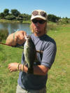 Largemouth Bass caught at Dowerglen Dam