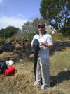 Big Barbel On Fly Rod (Caught By Rod Smit)