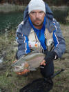 3.5 kilogram Cock Rainbow Trout caught in South Africa