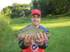 Dowerglen Dam Common Carp