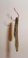 Wacky Rig with red glitter worm