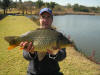 Modderfontein Common Carp Gareth Roocroft