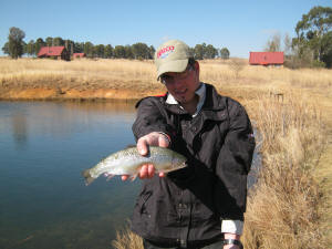 Thistle Pond - Millstream South Africa