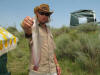 Juvenile Small Baby Barbel Sharptooth Catfish