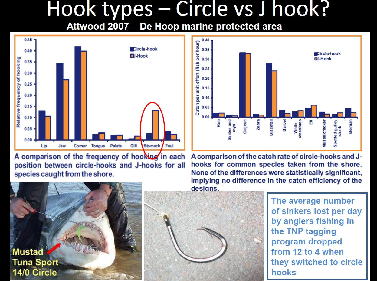 Circle Hooks Vs. J Hooks - What Is Better For The Fish?