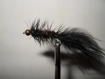 Fast strip with a black woolly bugger
