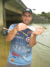 Garrick caught on fly in blind river