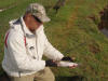 Juvenile Rainbow Trout Fingerling