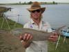 Large Grass Carp caught In The Vaal Dam