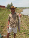 Juvenile Vaal Dam Barbel