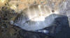 Spot Damselfish caught on chokka in Ballito
