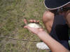  Gareth Roocroft with a Juvenile Largemouth Bass