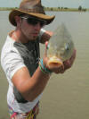 Common Carp Frontal View