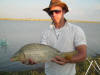 Large Vaal Dam Common Carp