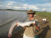 Gavin Erwin Vaal Dam Barbel