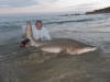 Big Ragged Tooth Shark Mossel Bay