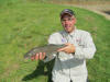 Large Hen Rainbow Trout