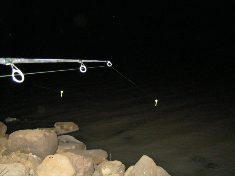 Guidelines For Fishing At Night In South Africa