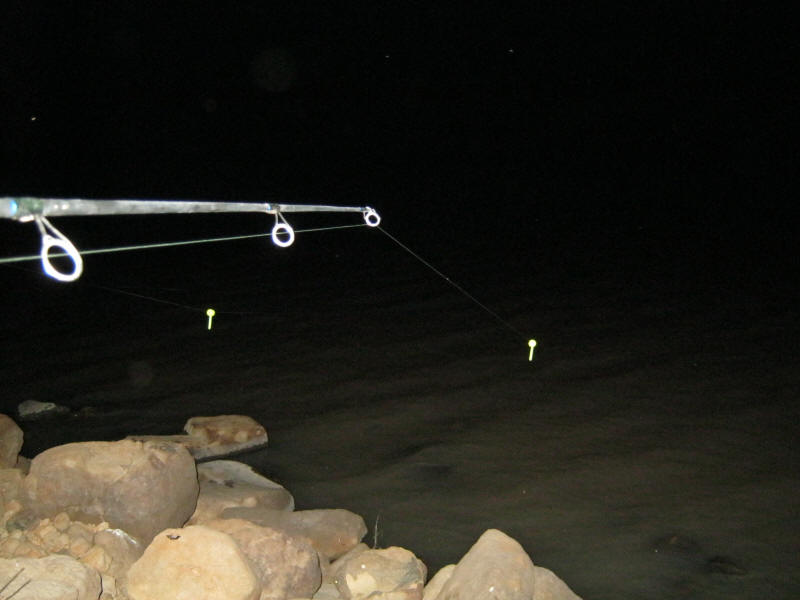 night fishing california fishing planet night fishing california fishing planet
