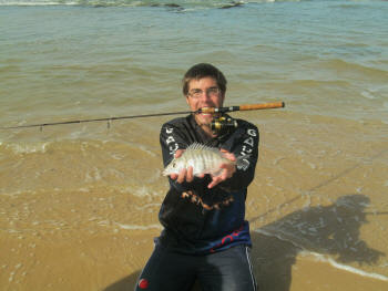 White Steenbras caught in the surf