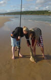 Landing a Lesser Sandshark (Guitarfish) On the beach