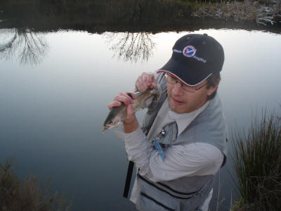 Beautiful late afternoon rainbow trout