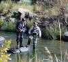 Fly Fishing Rhodes Eastern Cape South Africa