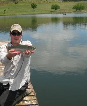 Lake Coleridge Millstream Trout