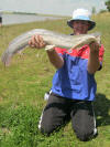 3.3kg Barbel caught by Gareth Roocroft