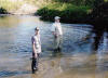 Rhodes wild trout fly fishing