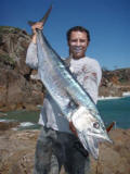 King Mackerel Caught On Halco Max Lure