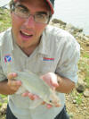 Juvenile Mudfish (Modderbek)